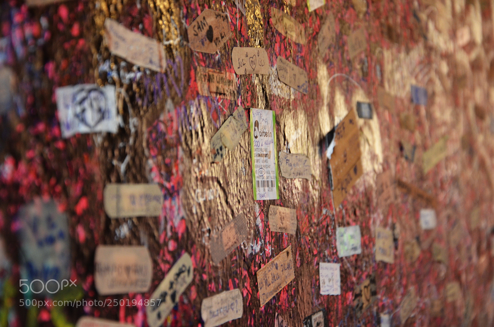Nikon D5100 sample photo. Julieta wall in verona photography