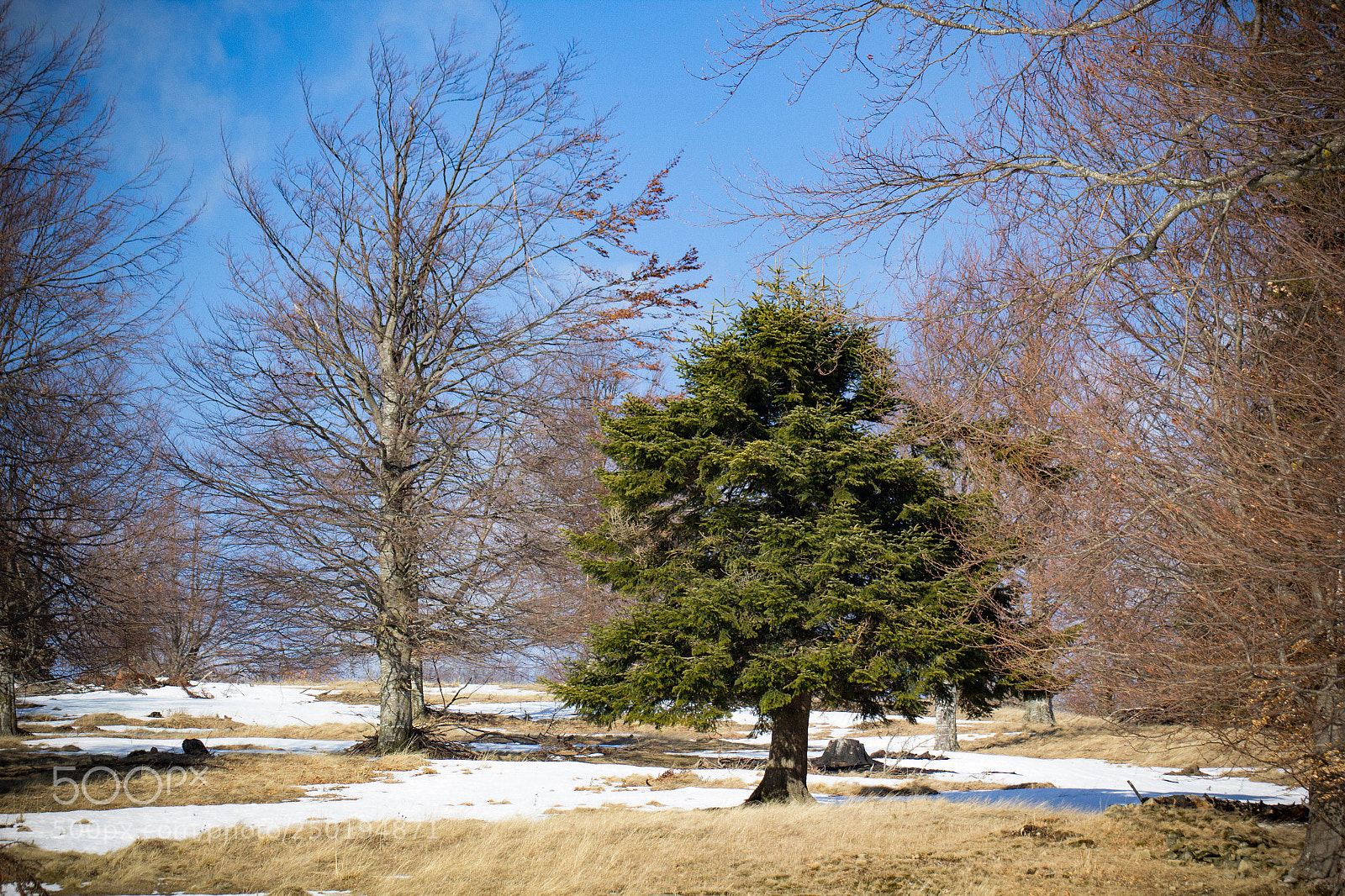 Canon EOS 60D sample photo. Contrast photography
