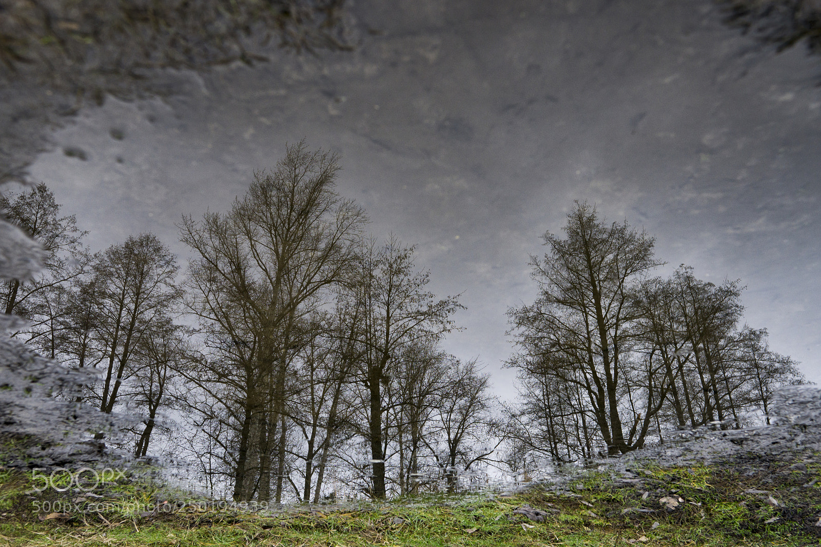 Sony a6000 sample photo. Reflection photography