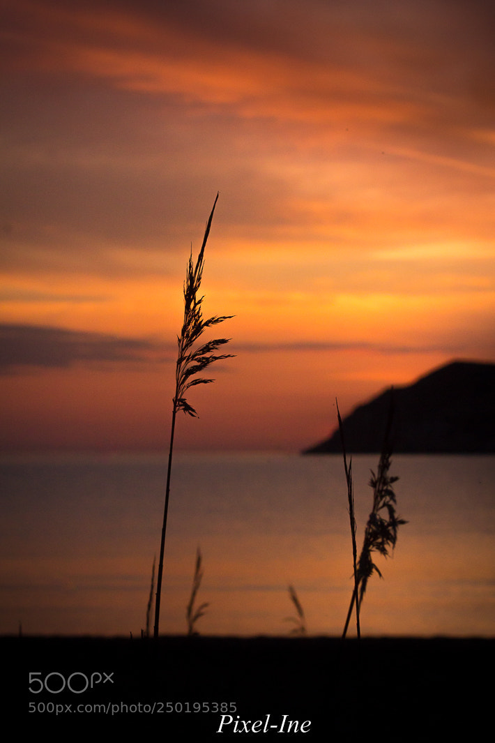 Canon EOS 600D (Rebel EOS T3i / EOS Kiss X5) sample photo. "luxe, calme et volupté..." photography