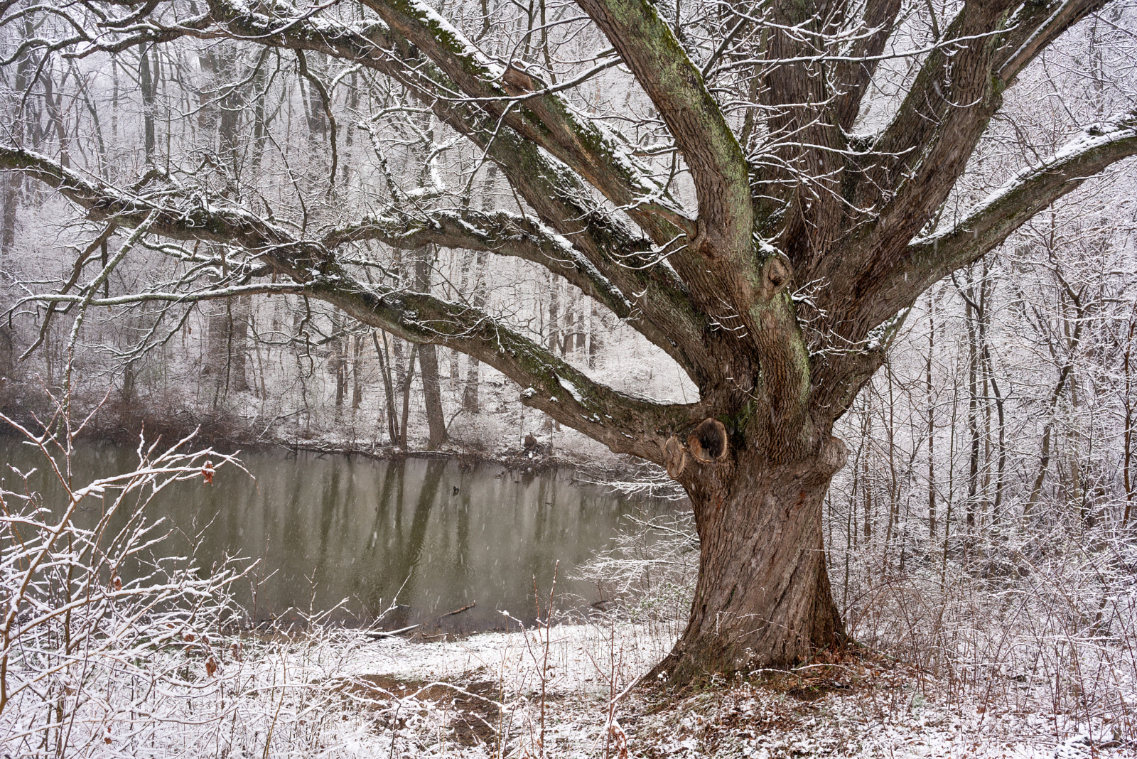 Sony a7R III sample photo. The first day of photography