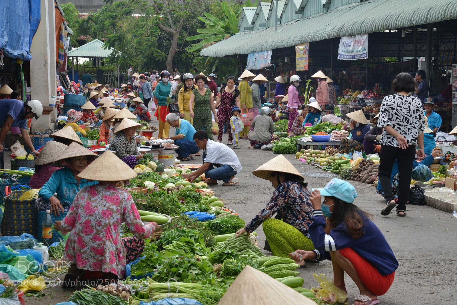 Nikon D800 sample photo. Mekong cantho photography