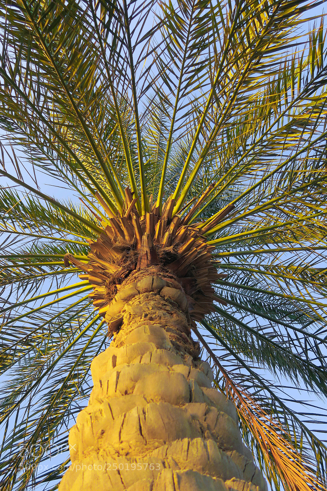 Canon PowerShot G5 X sample photo. Img photography