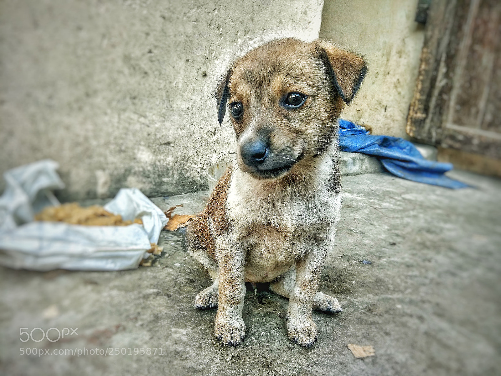 Xiaomi Redmi Note 4 sample photo. Free soul traveler photography
