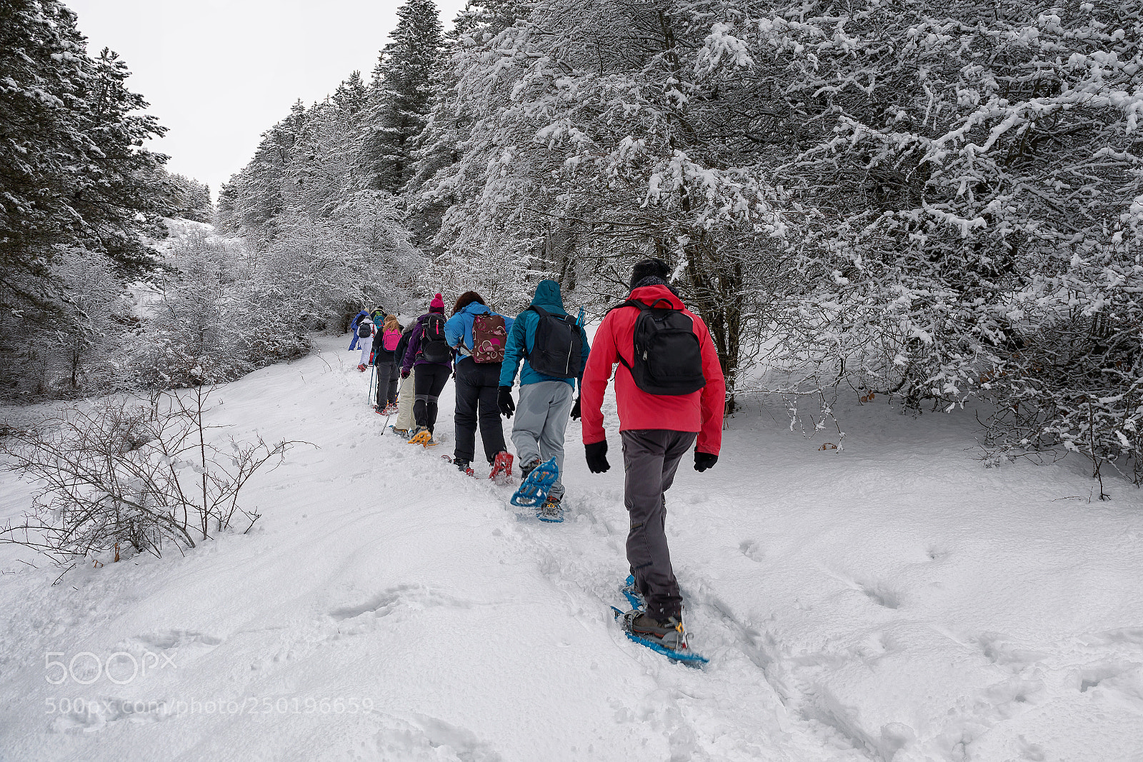 Canon EOS 5D Mark IV sample photo. Snowshoe hike on the photography