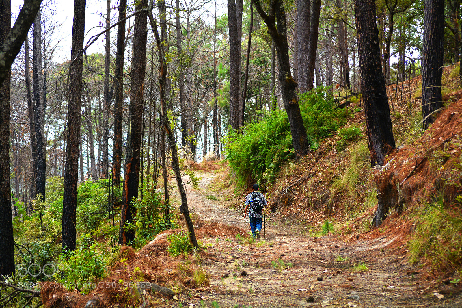 Nikon D5200 sample photo. Sherpa photography