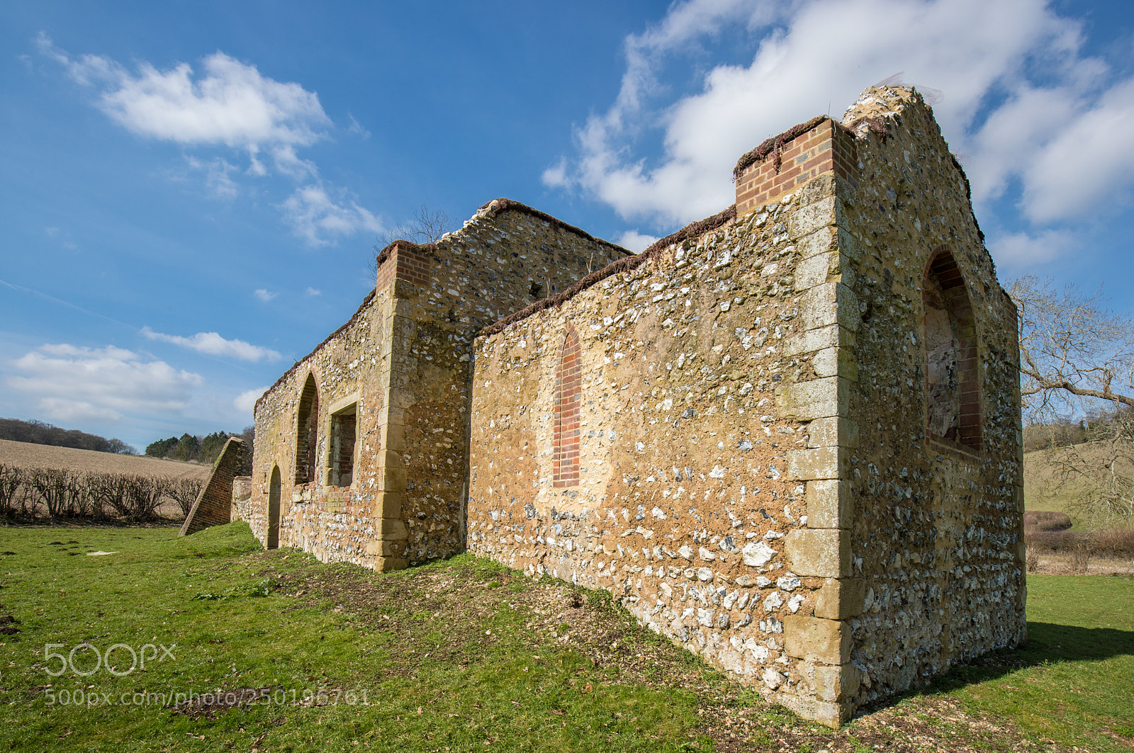 Canon EOS-1D X Mark II sample photo. Warburg uk photography