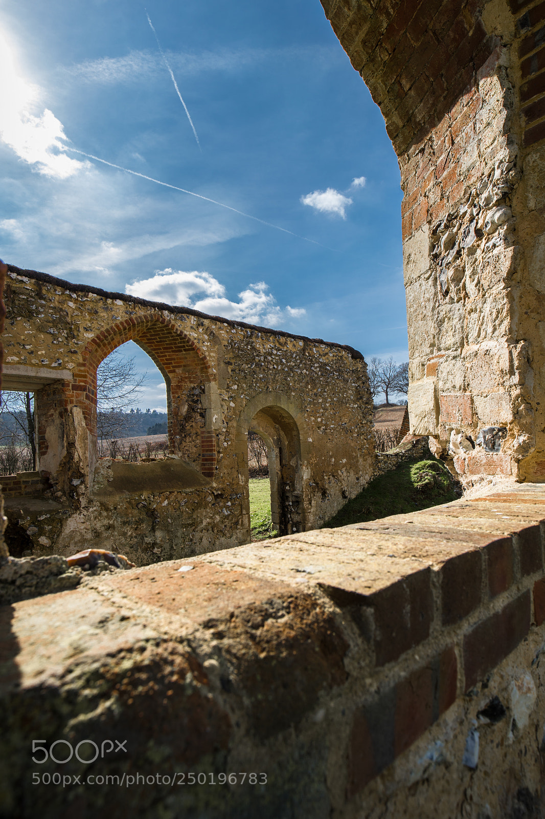 Canon EOS-1D X Mark II sample photo. Warburg uk photography