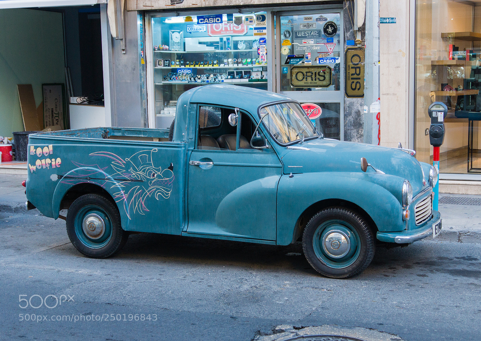 Sony SLT-A77 sample photo. Kool wolfie photography