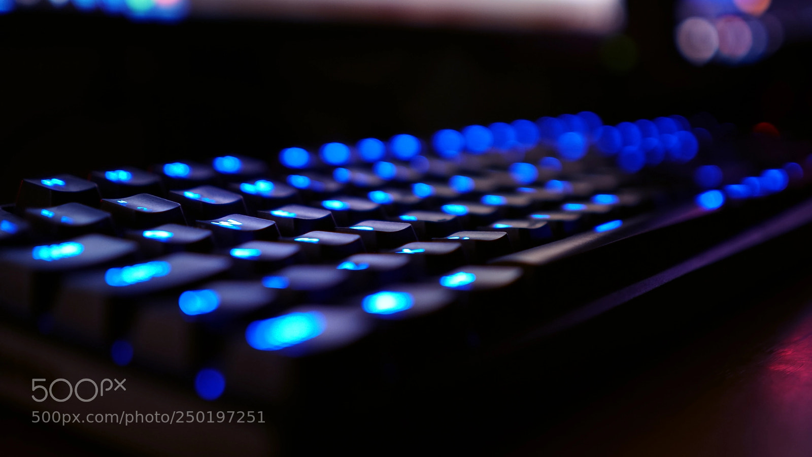 Sony a6300 sample photo. My steelseries apex m500 photography