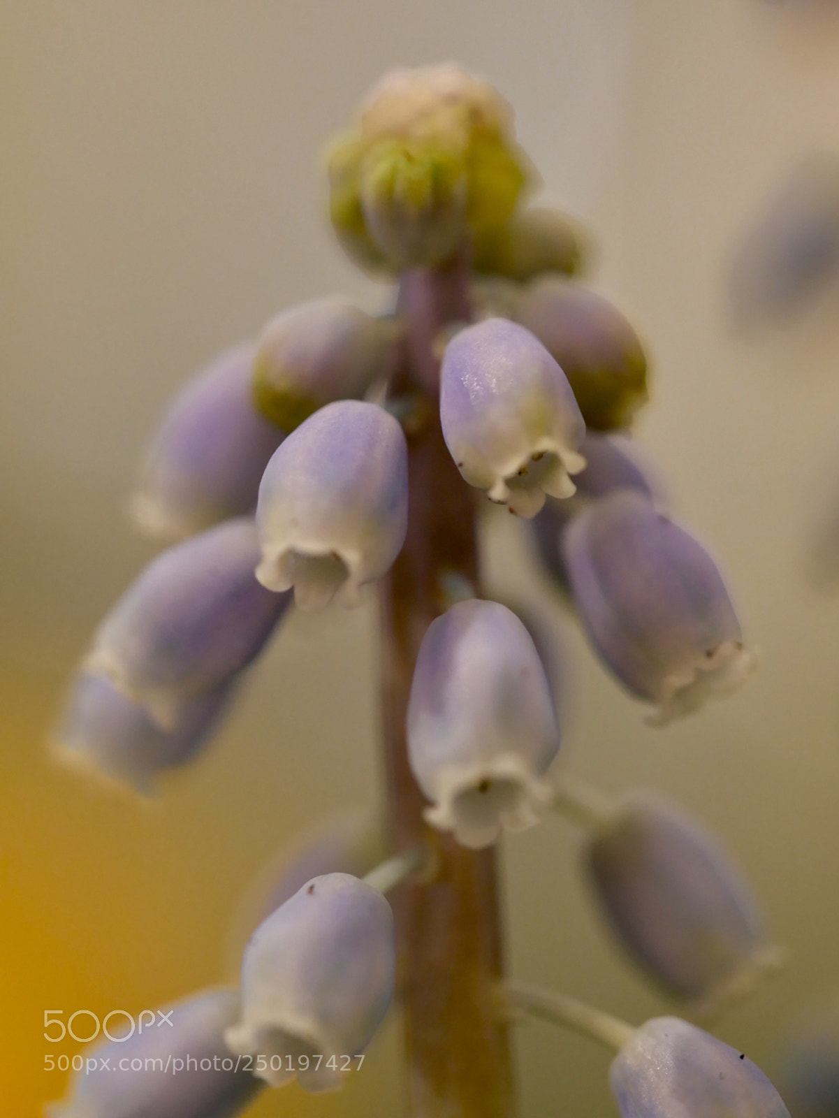 Panasonic Lumix DMC-GX85 (Lumix DMC-GX80 / Lumix DMC-GX7 Mark II) sample photo. Sadness photography