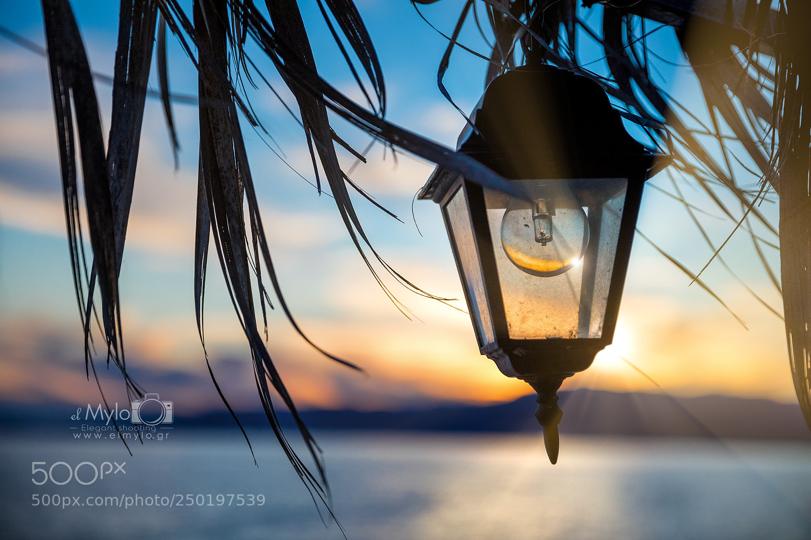 Canon EOS 5D Mark IV sample photo. Magic light photography