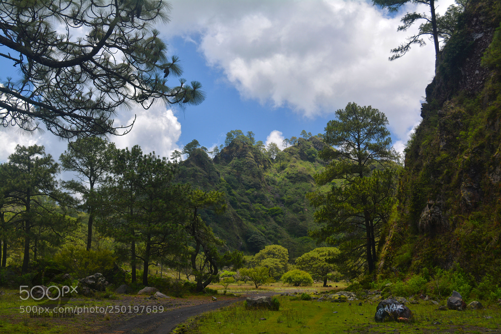 Nikon D5200 sample photo. Valle del ceboruco photography