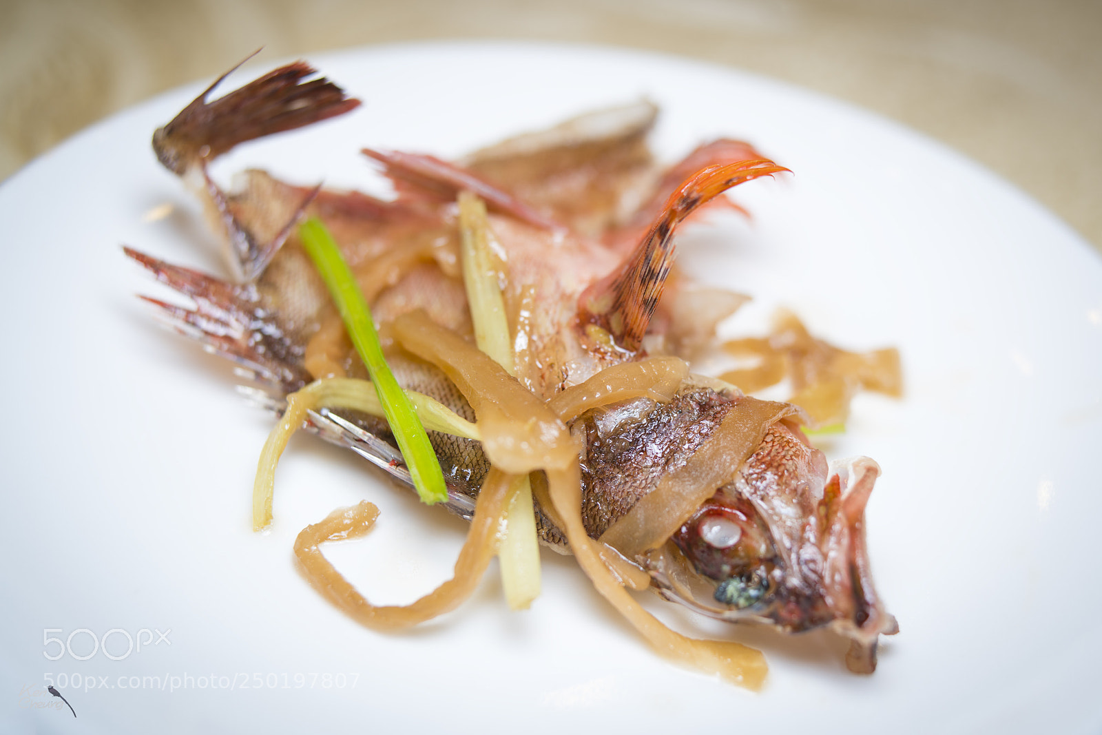 Sony a7R II sample photo. Fish photography