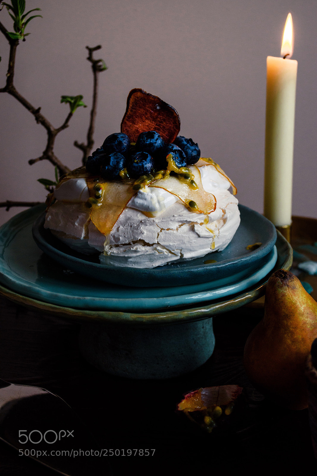 Nikon D5500 sample photo. Pavlova, my love. photography