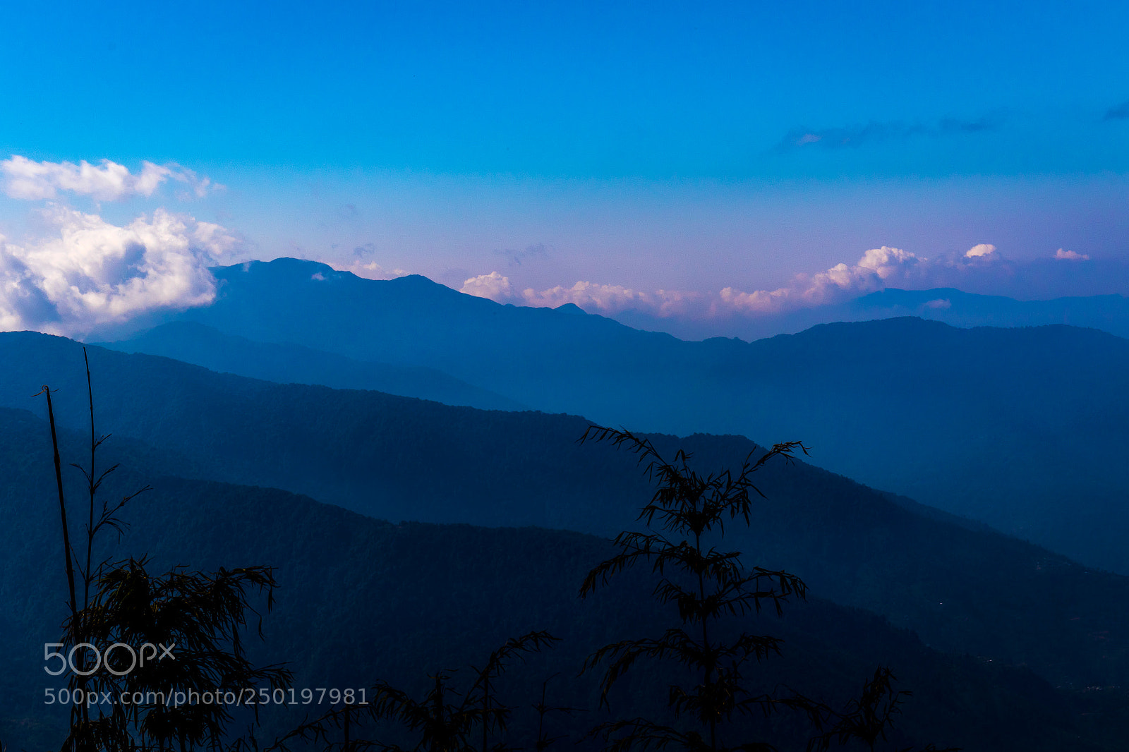 Canon EOS 7D Mark II sample photo. The color of the photography