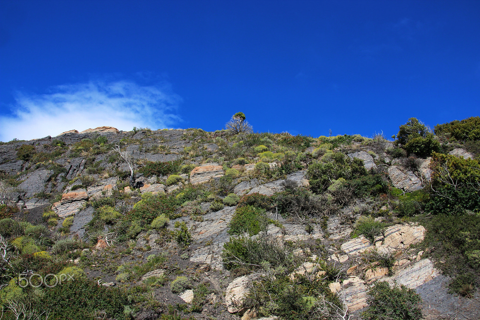 Canon EOS 600D (Rebel EOS T3i / EOS Kiss X5) sample photo. Patagonia photography