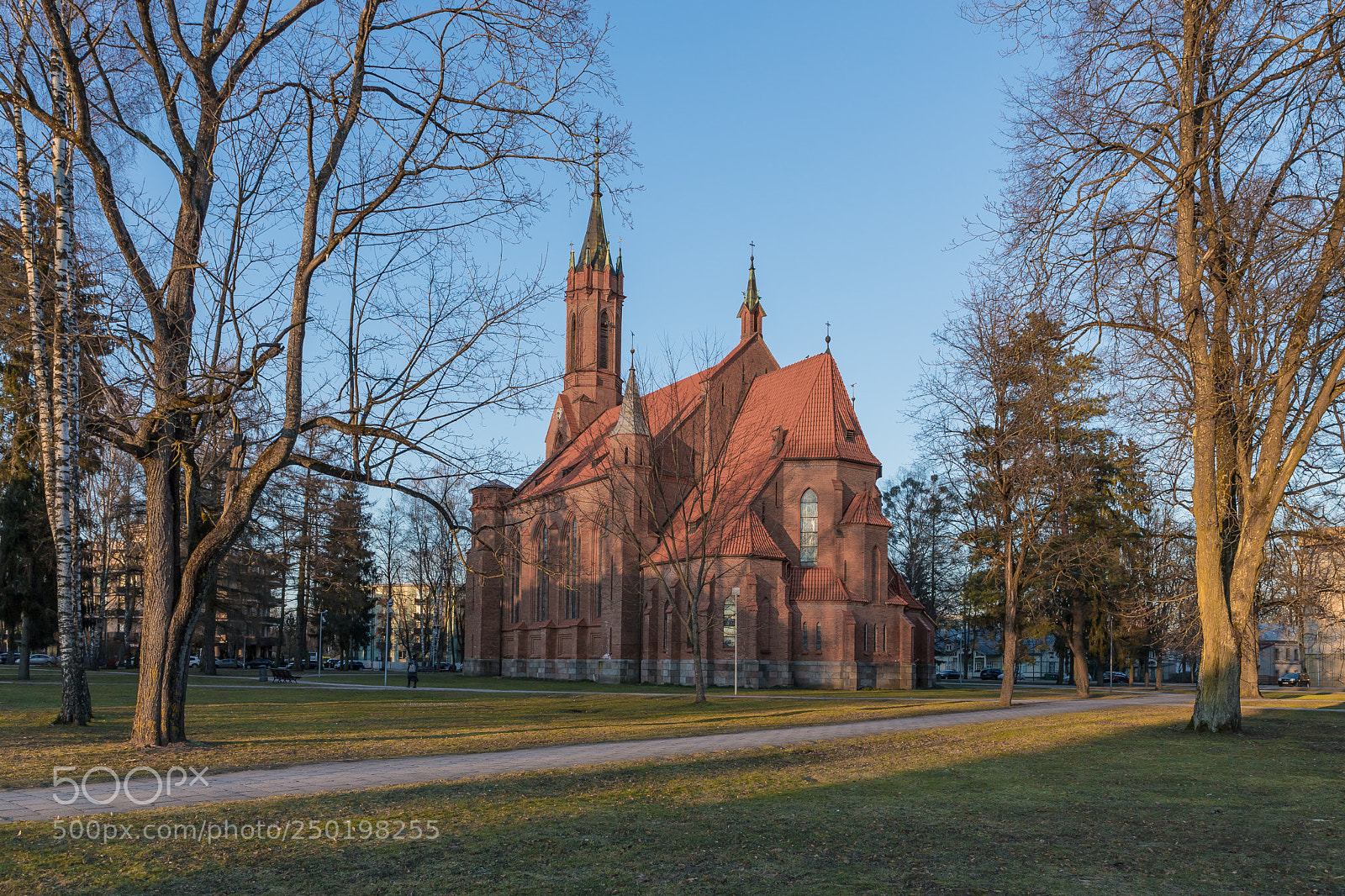 Canon EOS 6D Mark II sample photo. In the evening light photography