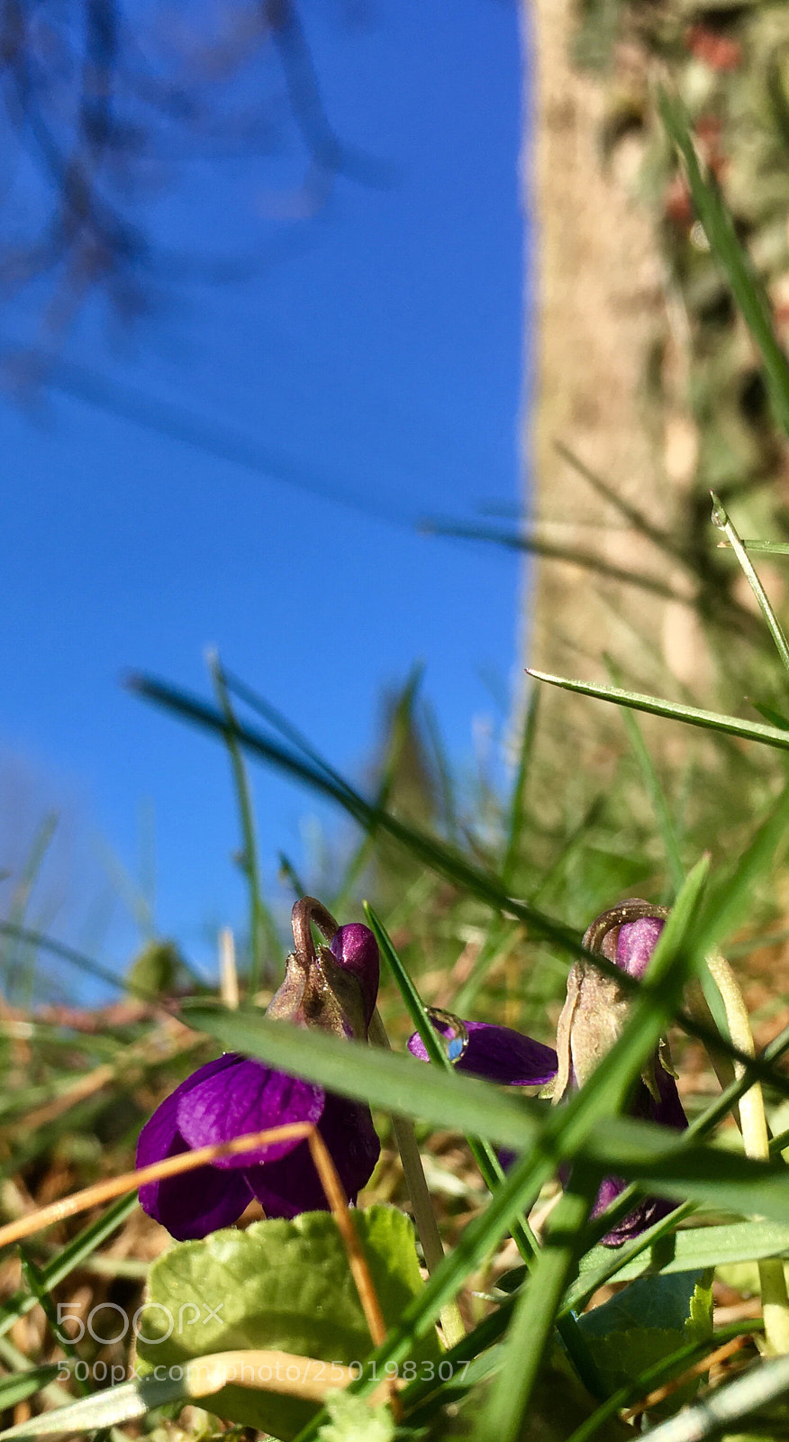 Apple iPhone SE sample photo. Gib mir sonne  photography