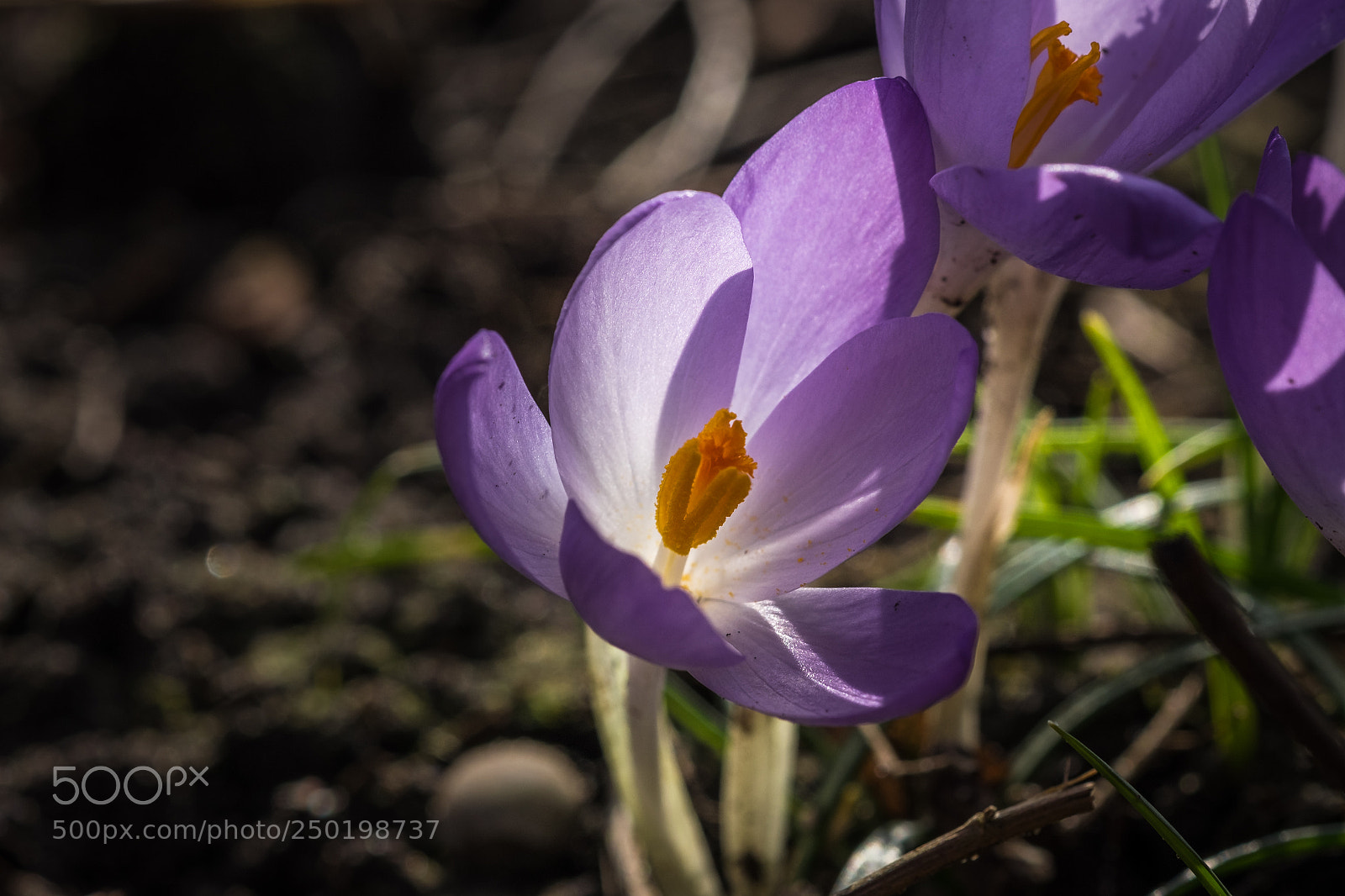 Fujifilm X-T1 sample photo. Licht und schatten photography