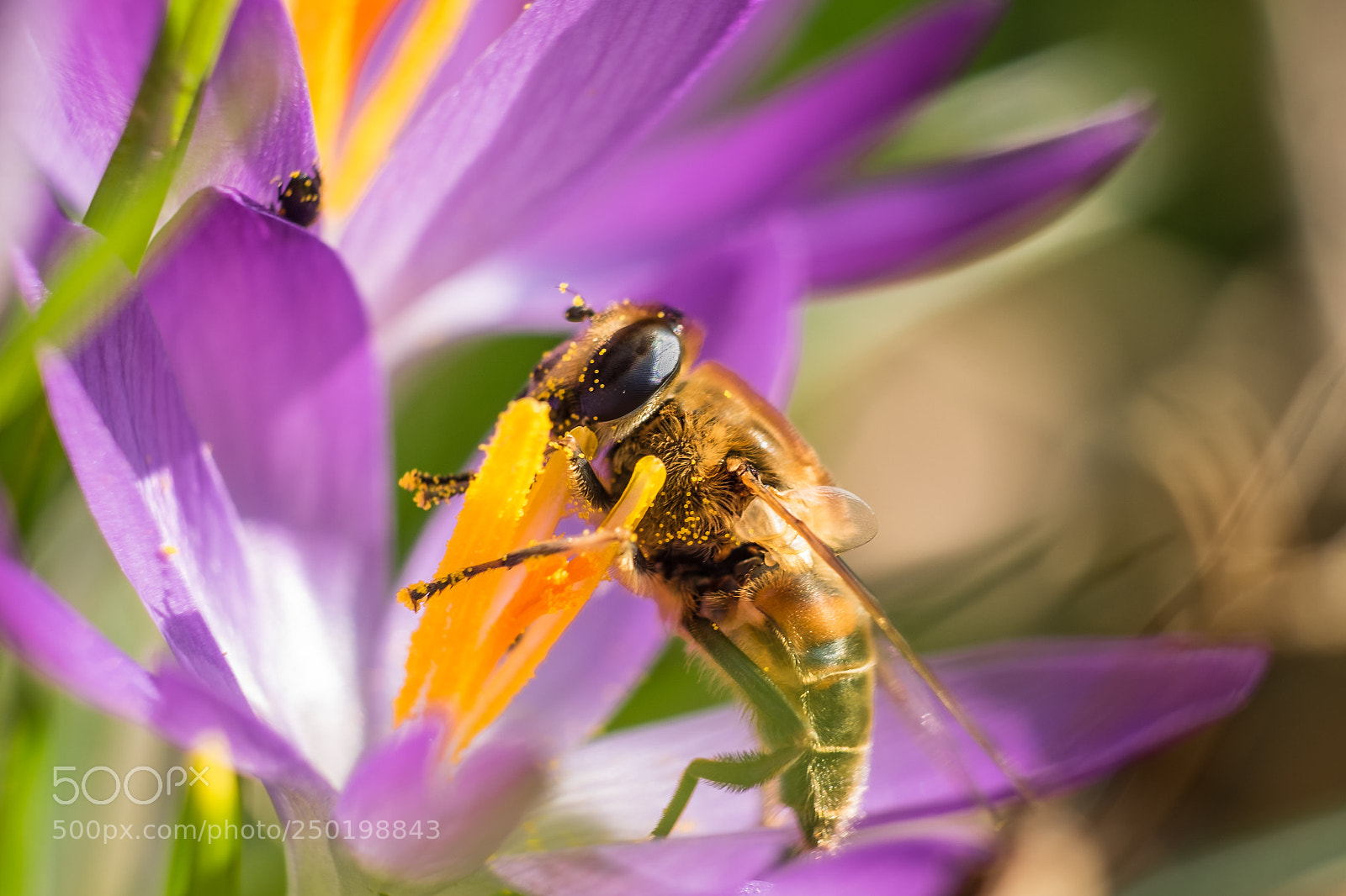 Fujifilm X-T1 sample photo. Alles meins photography