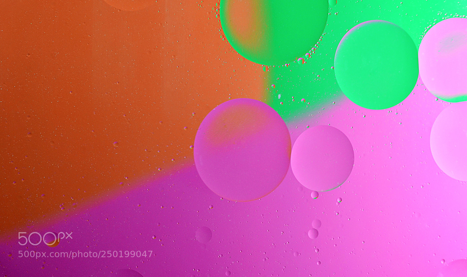 Nikon D3100 sample photo. Oil in water photography