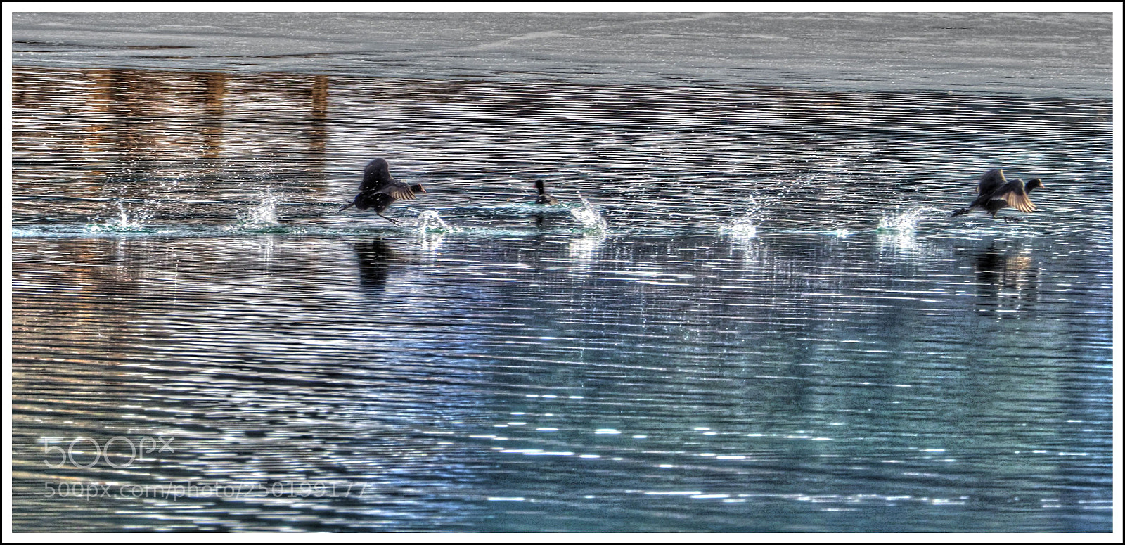 Olympus OM-D E-M1 Mark II sample photo. V e r f photography