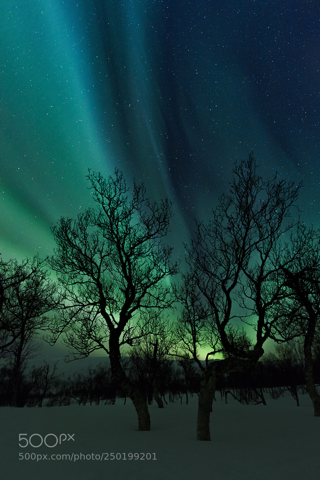 Canon EOS 5DS R sample photo. Winter aurora photography