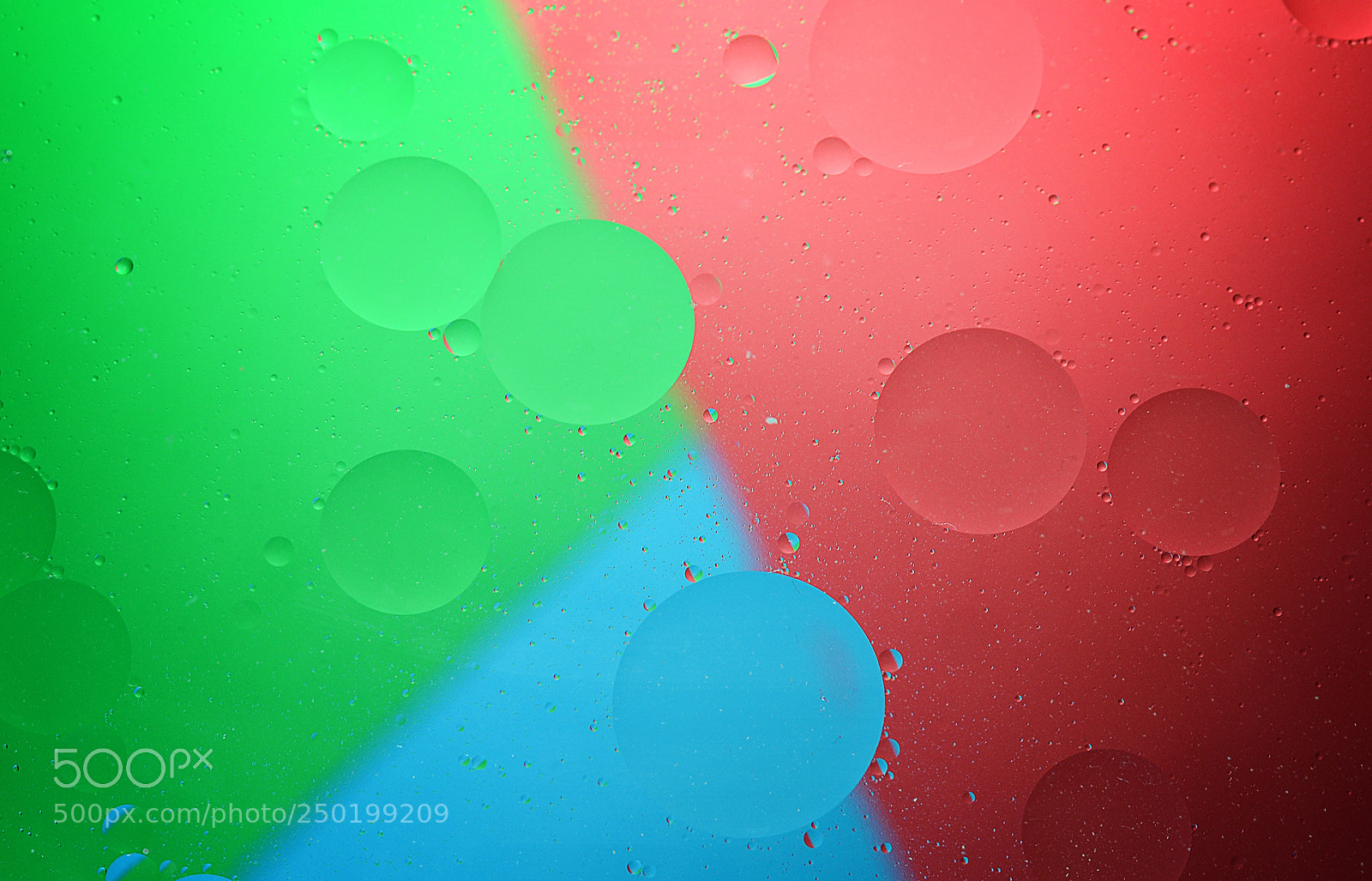 Nikon D3100 sample photo. Oil in water photography