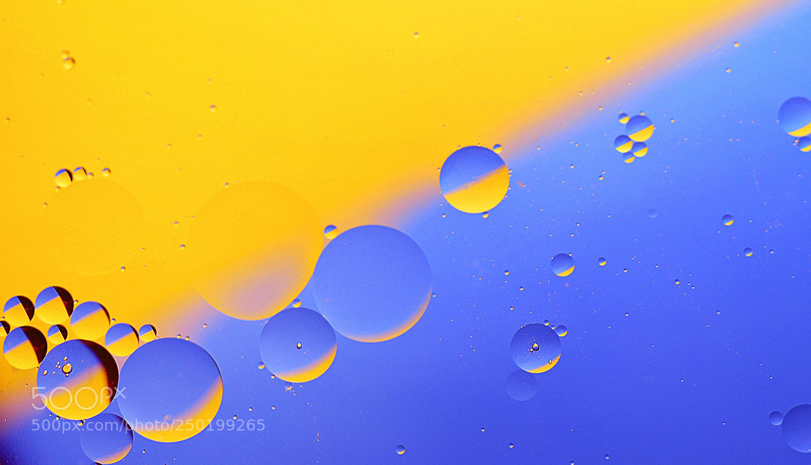 Nikon D3100 sample photo. Oil in water photography
