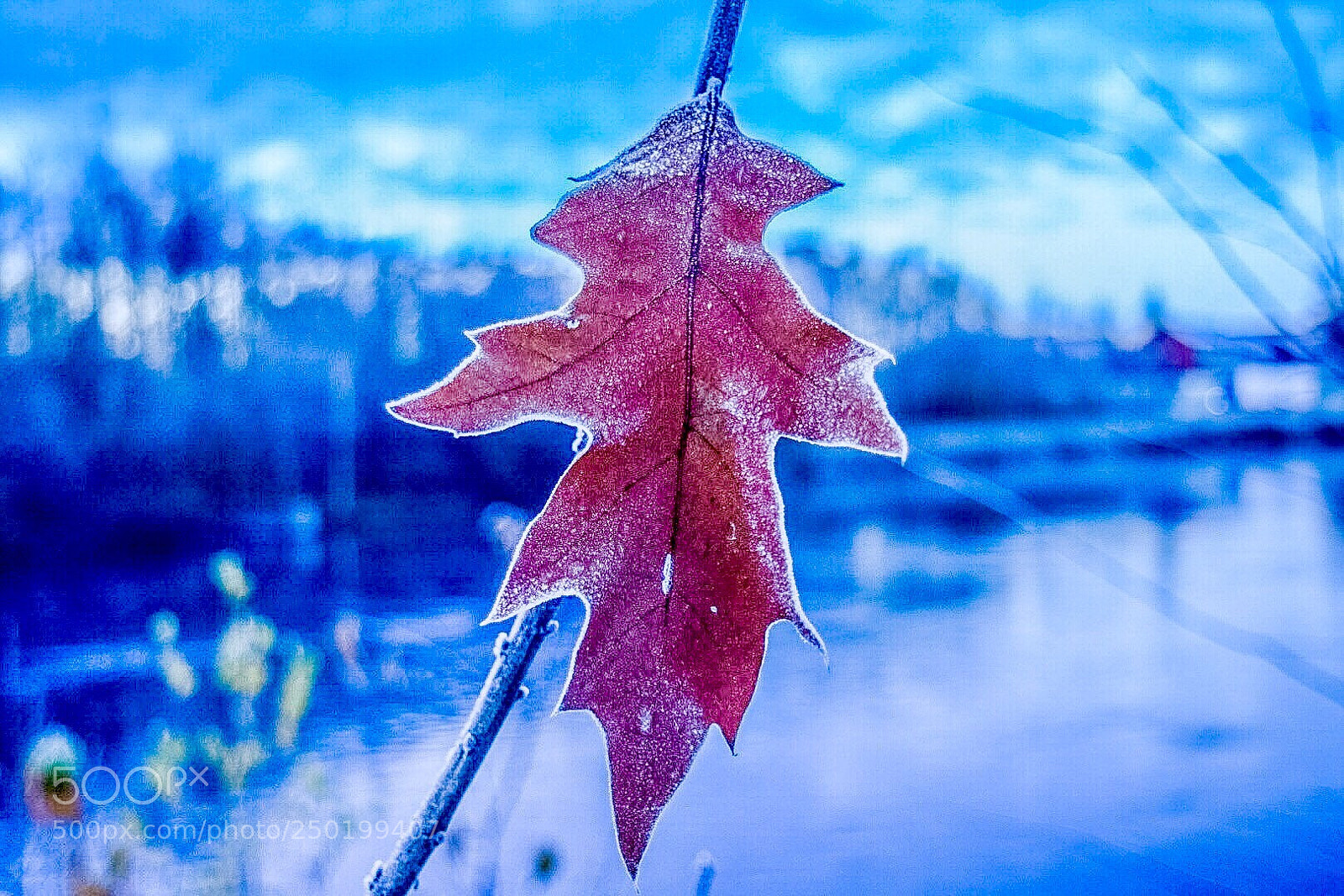 Nikon D5300 sample photo. Untitled photography