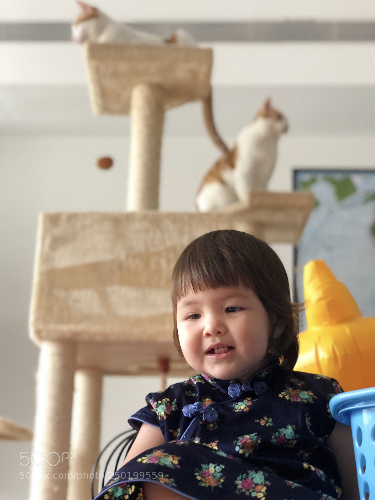 Apple iPhone X sample photo. Cousin and cats photography