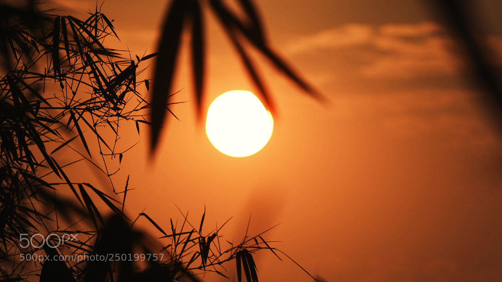 Nikon D3100 sample photo. Sunset photography