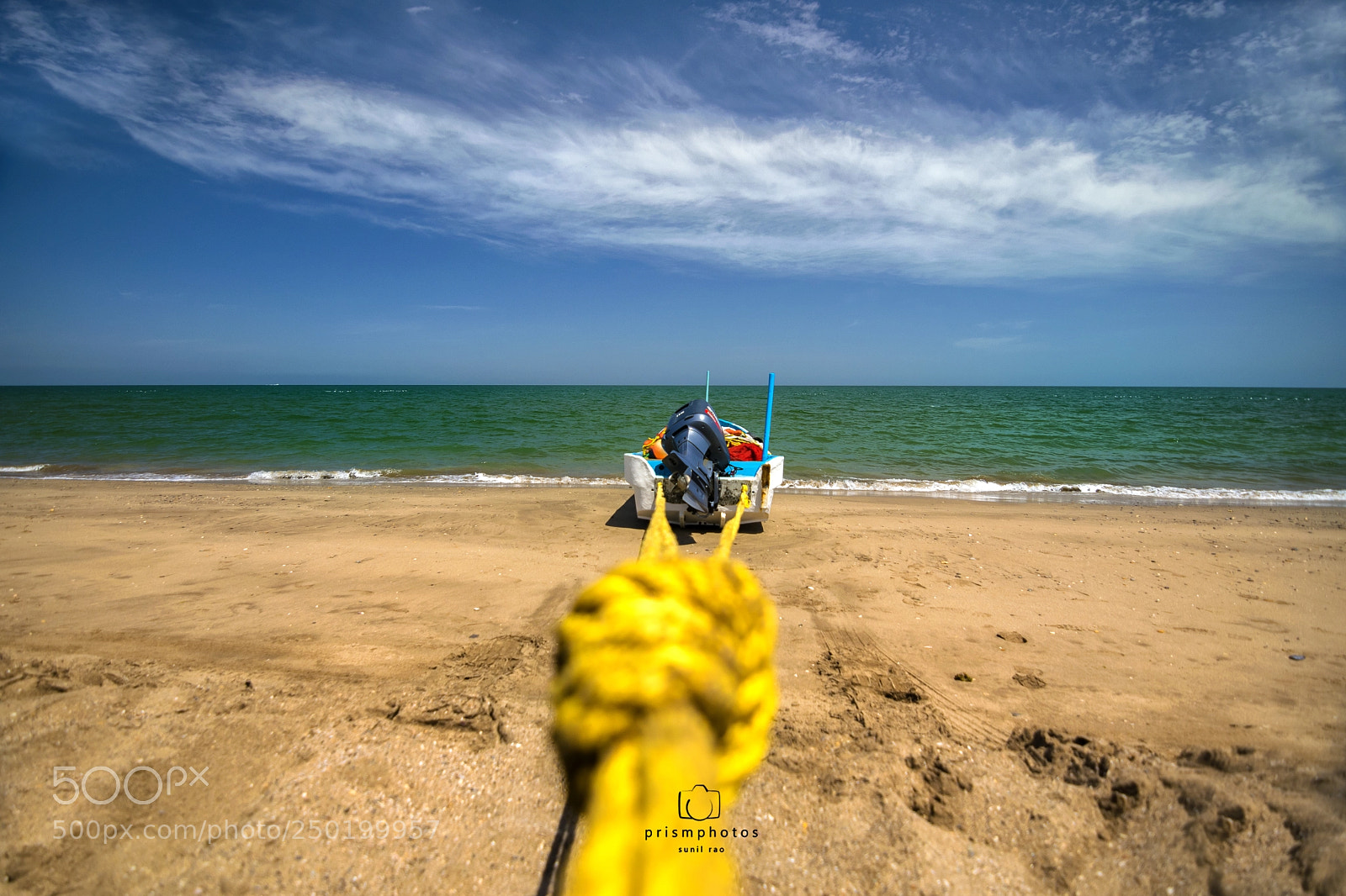 Nikon D5300 sample photo. Tied up photography