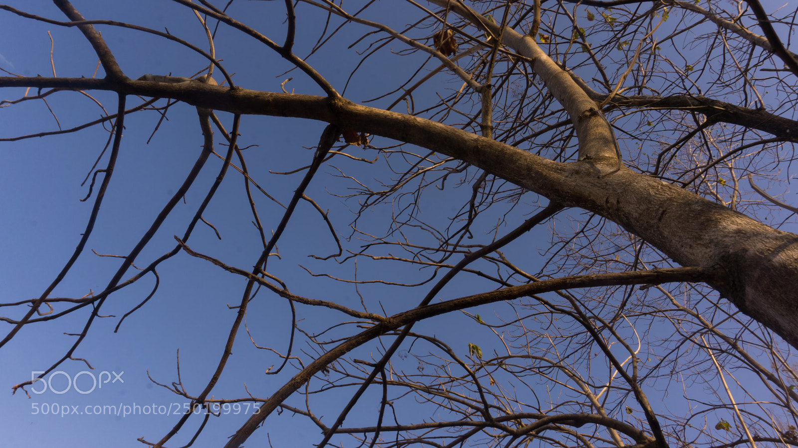 Sony a6000 sample photo. Long and tall photography