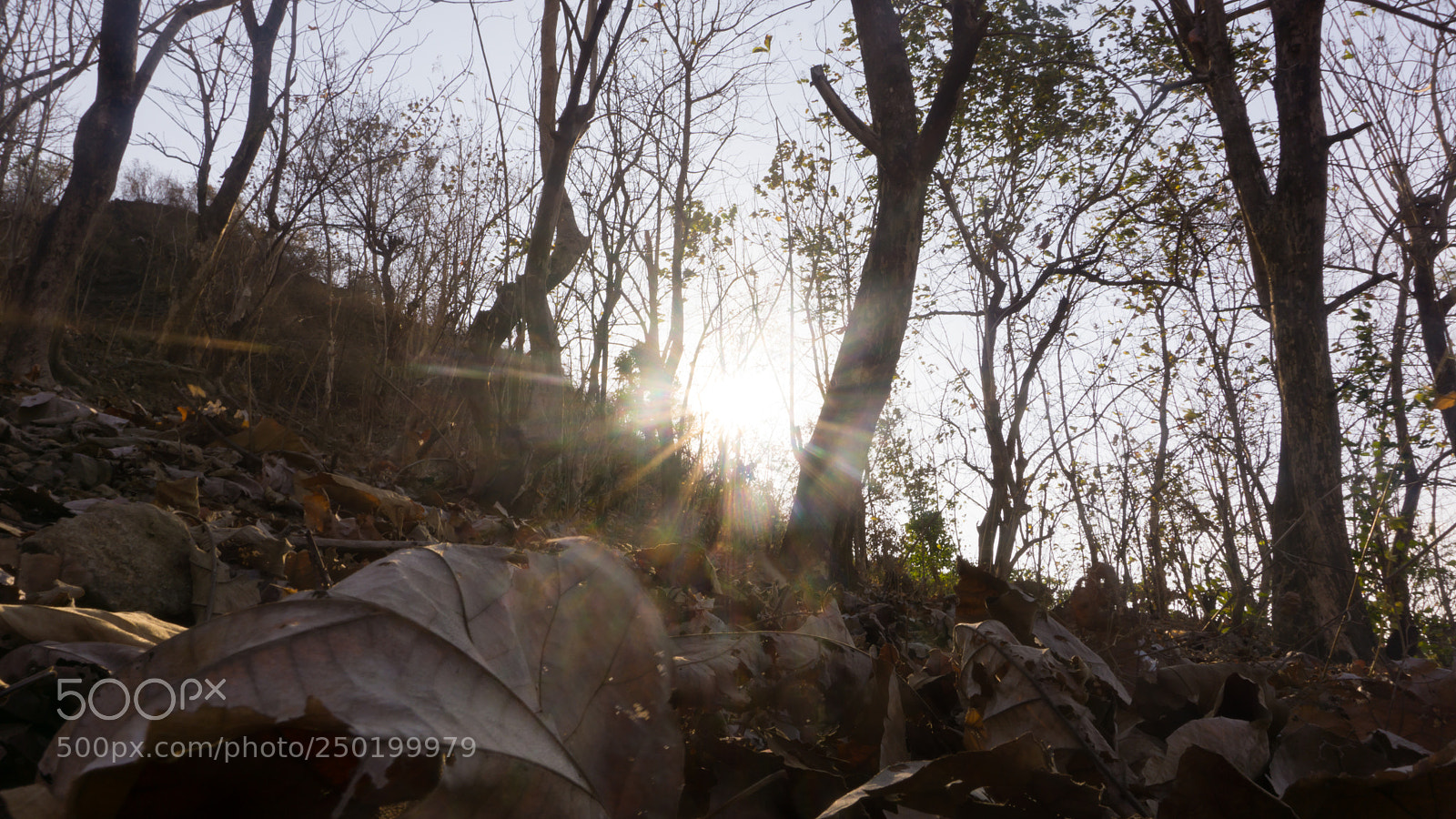 Sony a6000 sample photo. Warm and dry photography