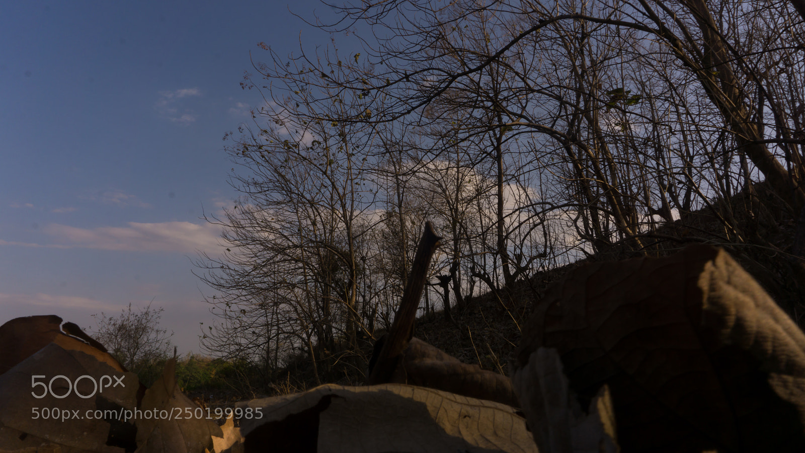 Sony a6000 sample photo. Dsc photography