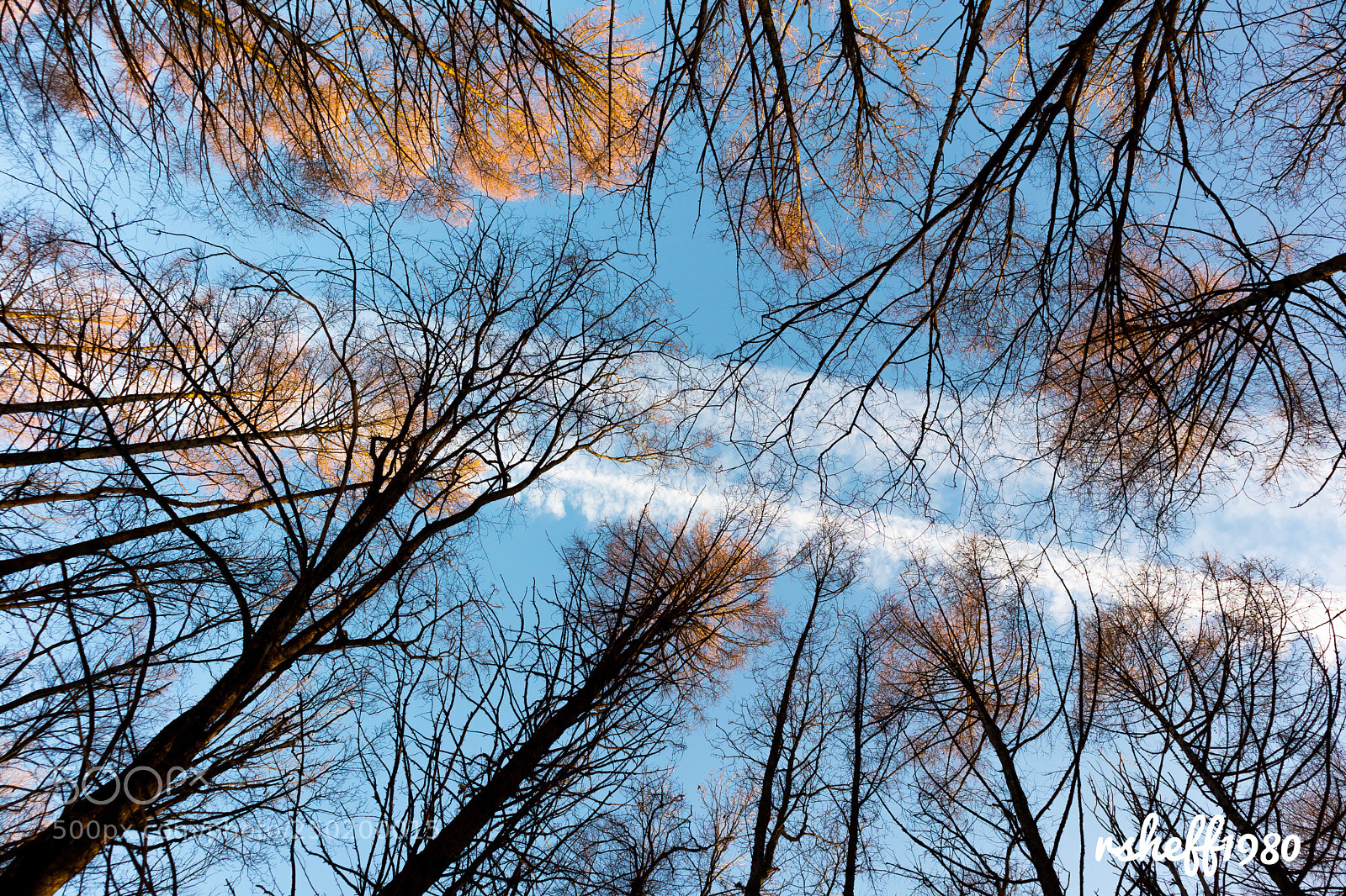 Canon EOS M6 sample photo. Sunset in the forest photography