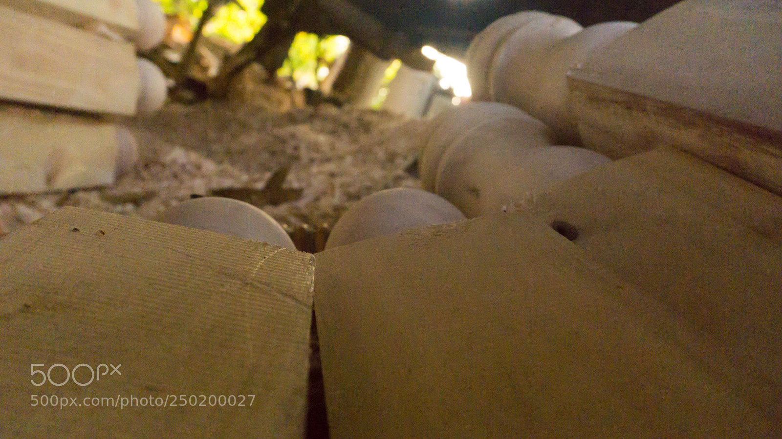 Sony a6000 sample photo. Woodwork photography