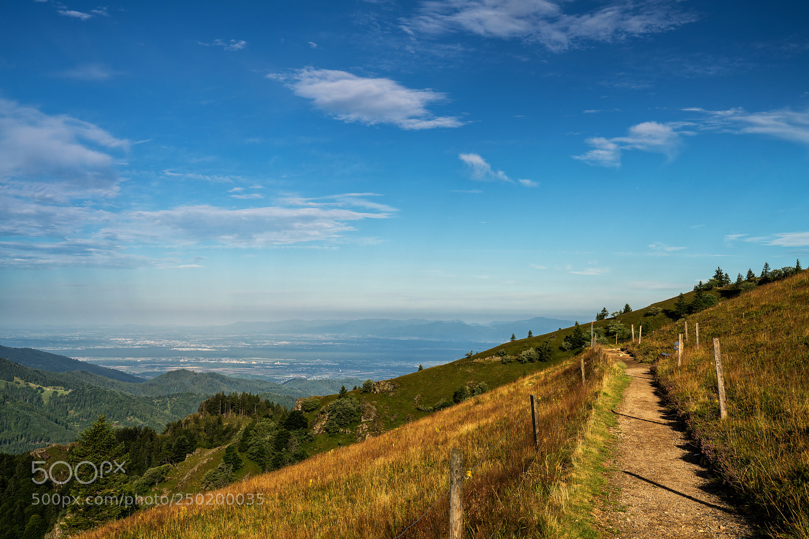 Sony a7R II sample photo. Belchenweg photography
