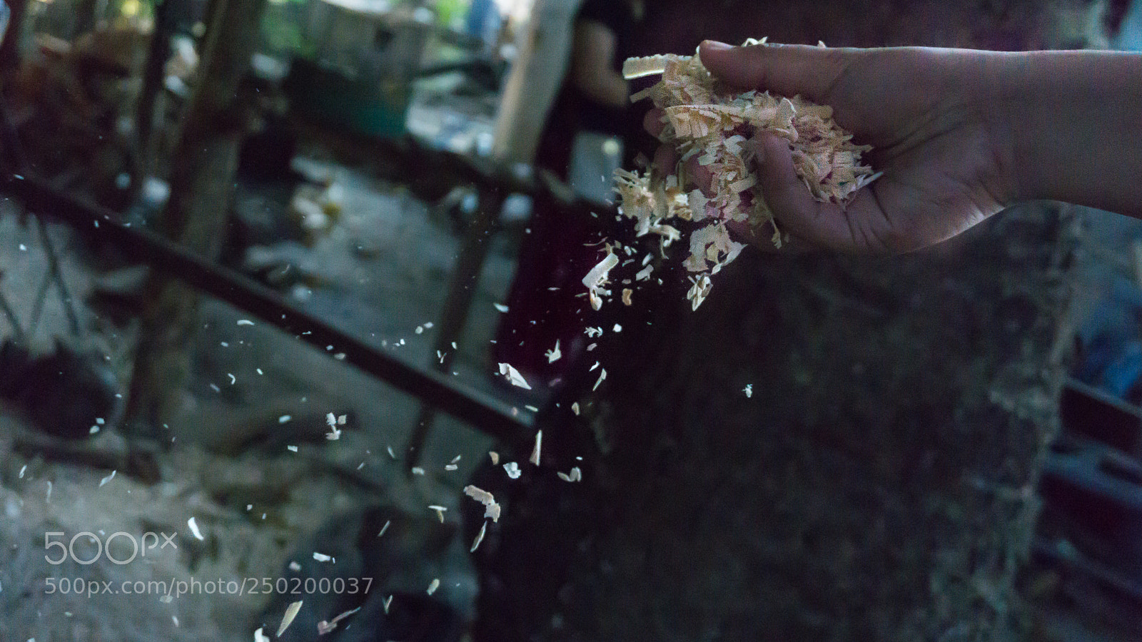 Sony a6000 sample photo. More cheese, please! photography