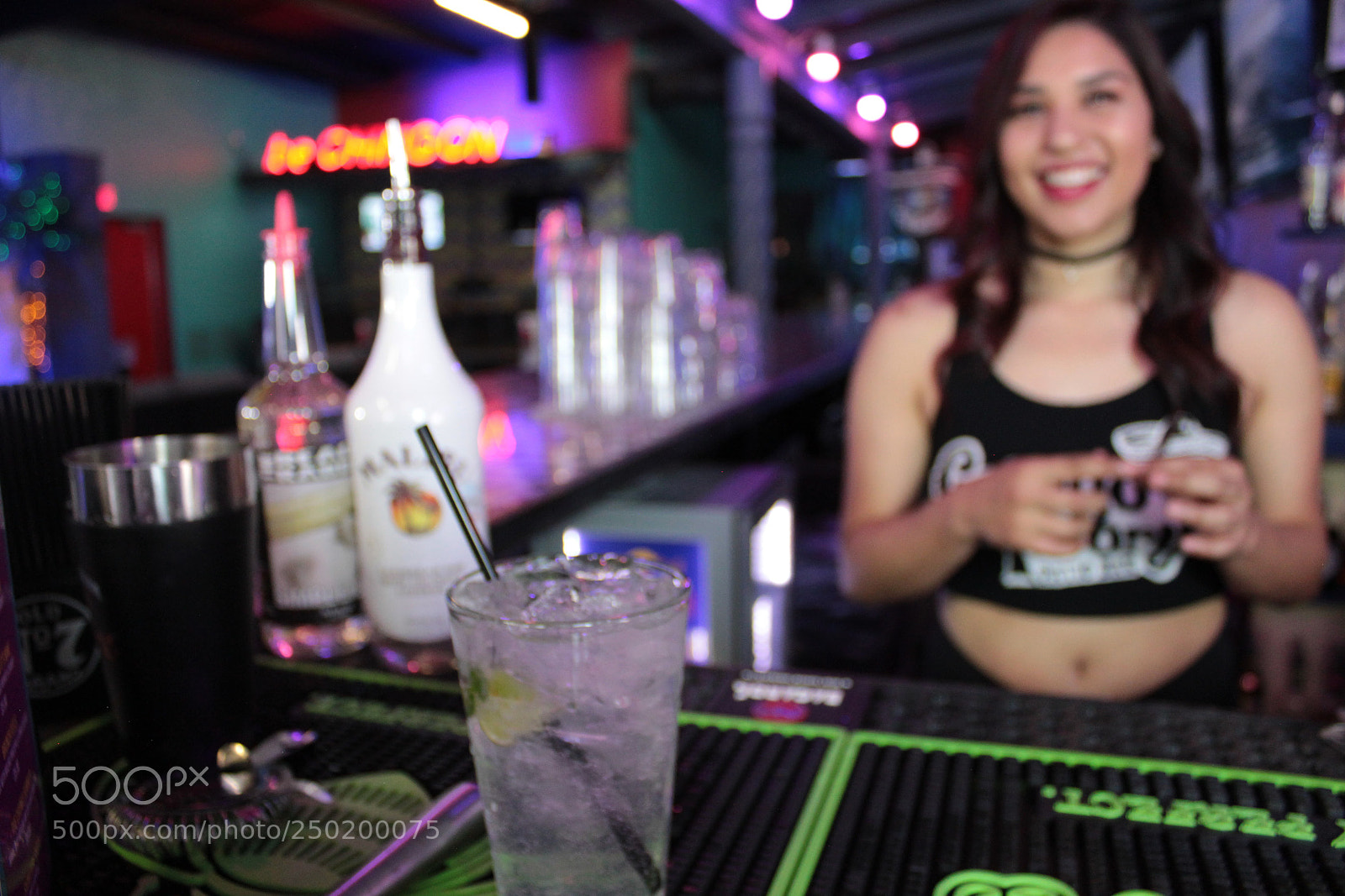 Canon EOS 550D (EOS Rebel T2i / EOS Kiss X4) sample photo. Gringo theory photography