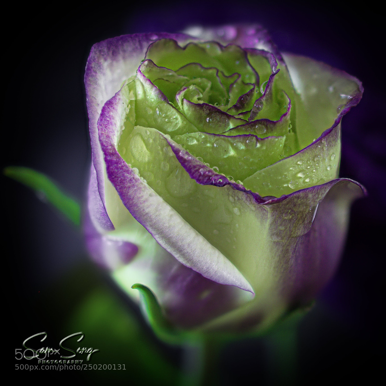 Olympus OM-D E-M10 III sample photo. Baby stoma photography