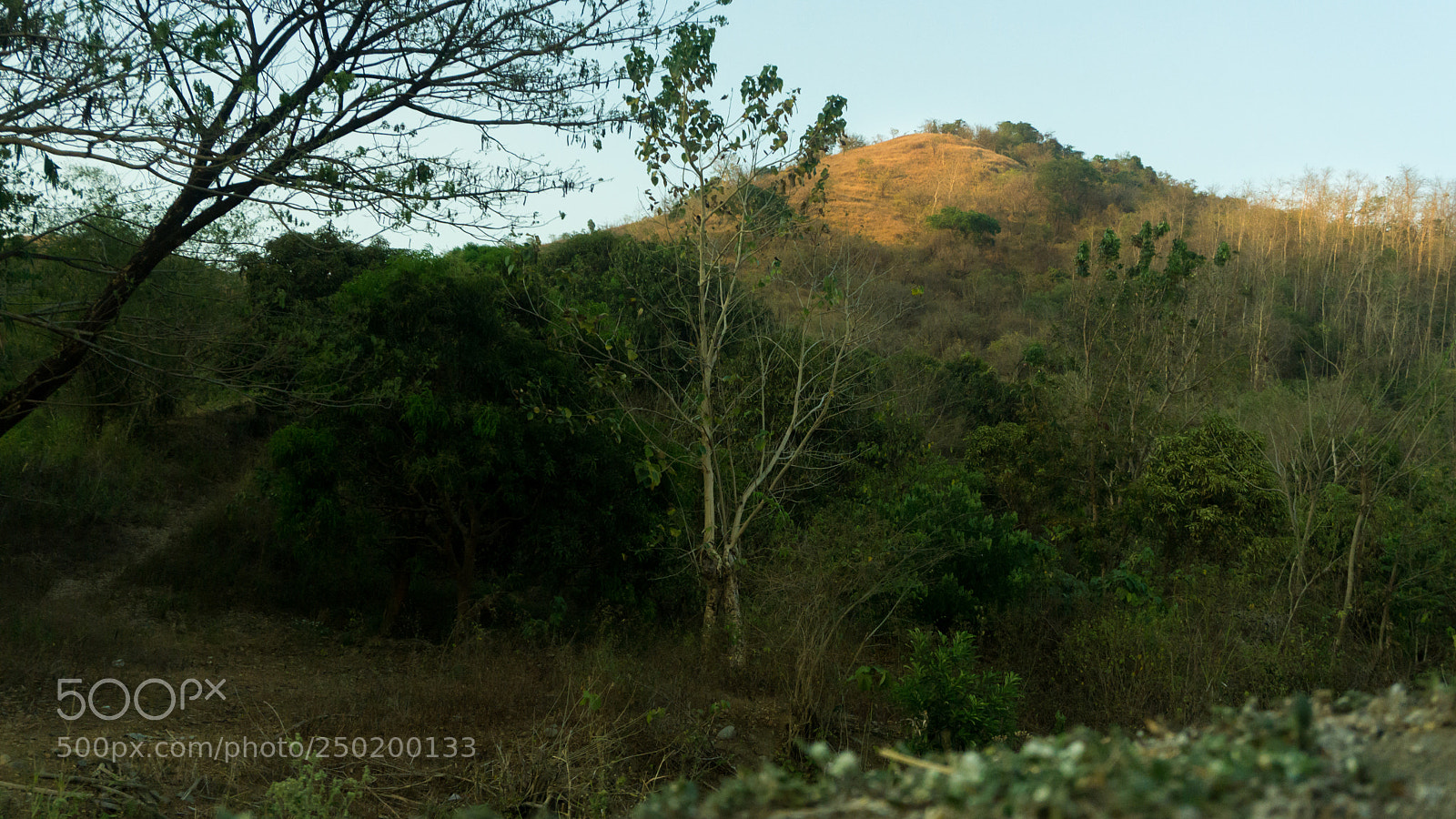 Sony a6000 sample photo. Nature's craft photography