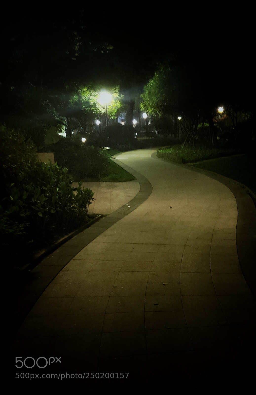 Samsung Galaxy S9+ sample photo. 回家的路 photography