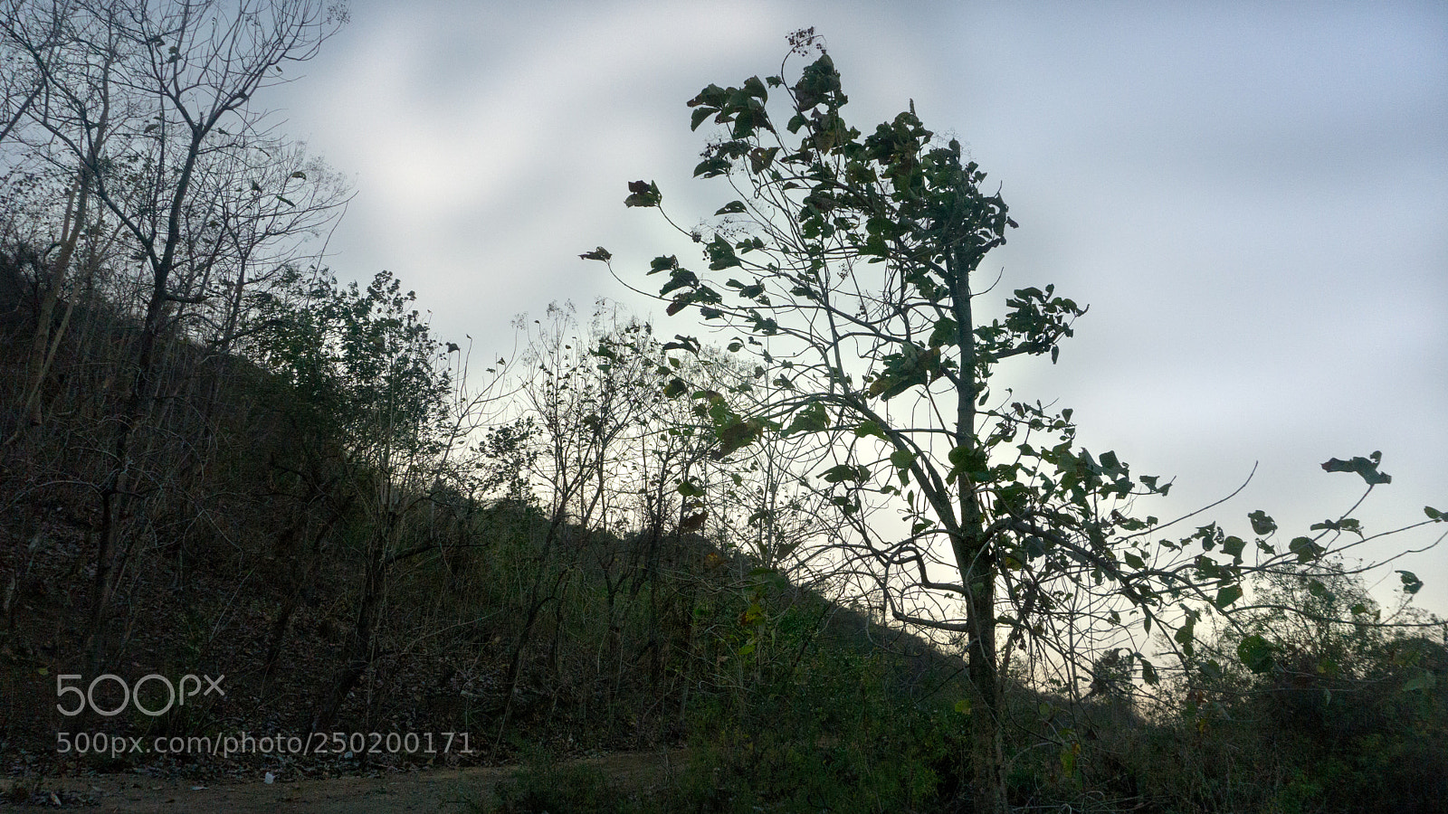 Sony a6000 sample photo. Nature's craft photography