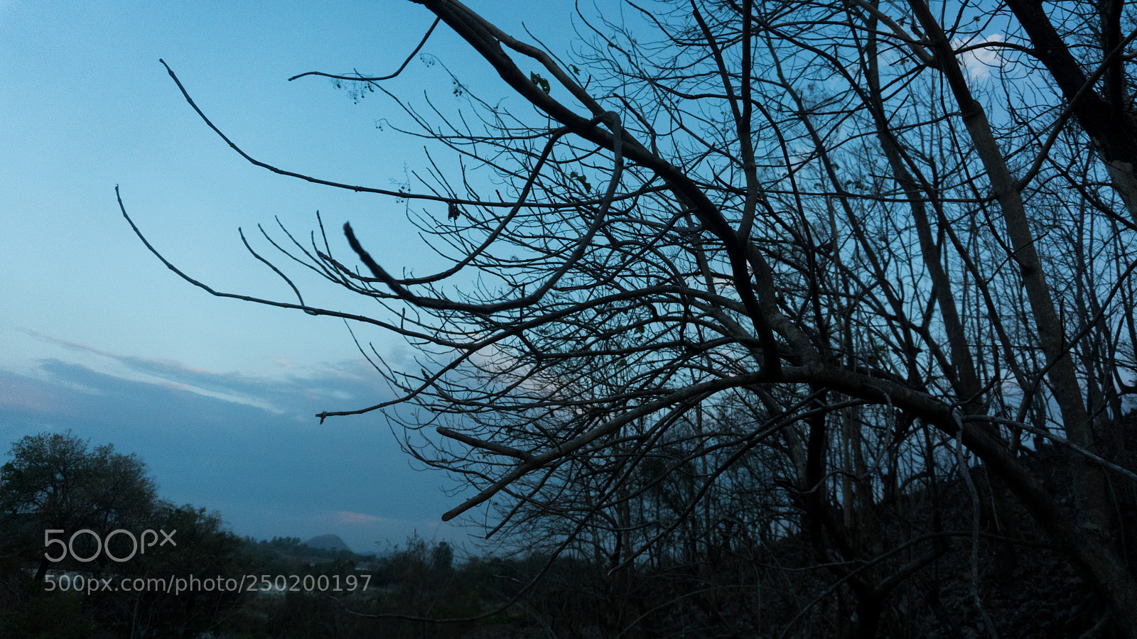 Sony a6000 sample photo. Cool and creepy photography
