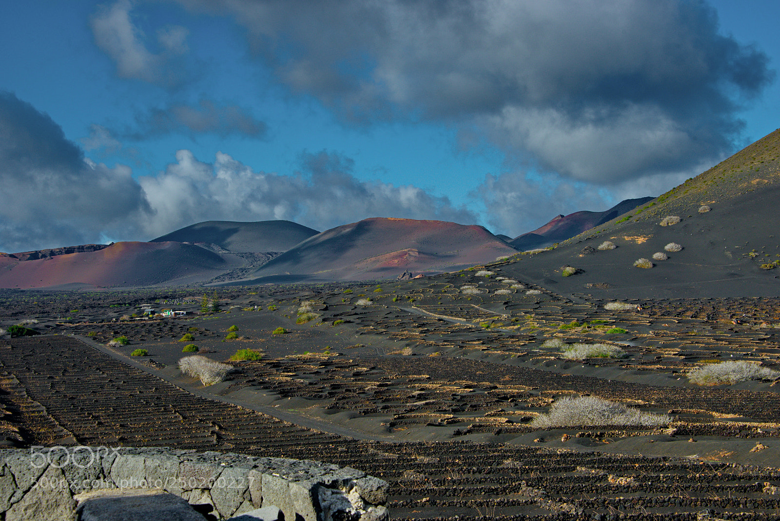 Nikon D800 sample photo. Vineyards and volcanoes of photography