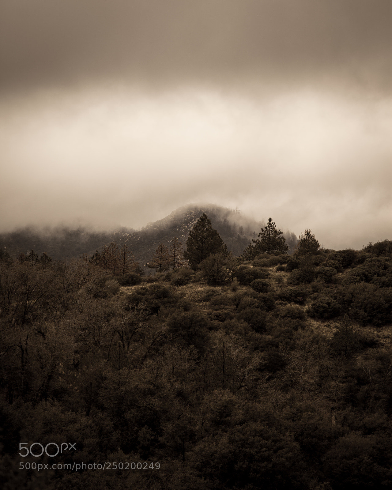 Canon EOS 5D Mark II sample photo. San bernardino national forest photography