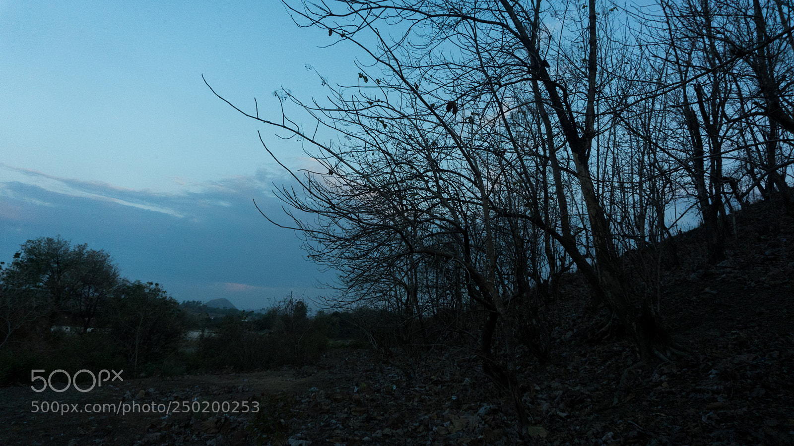 Sony a6000 sample photo. Cool and creepy photography